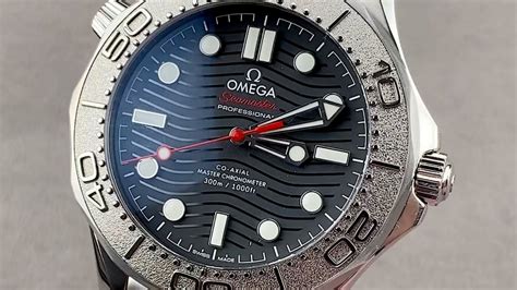 Omega Seamaster necton 210.30